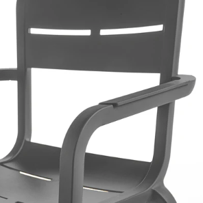 Silla Cannes con brazos
