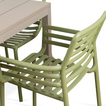 mesa nardi silla doga comedor